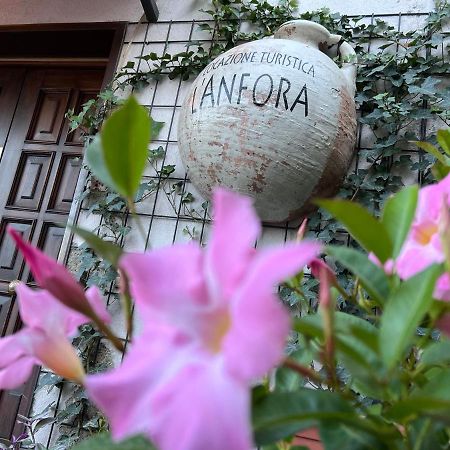 L' Anfora Locazione Turistica Apartment Terni Exterior photo
